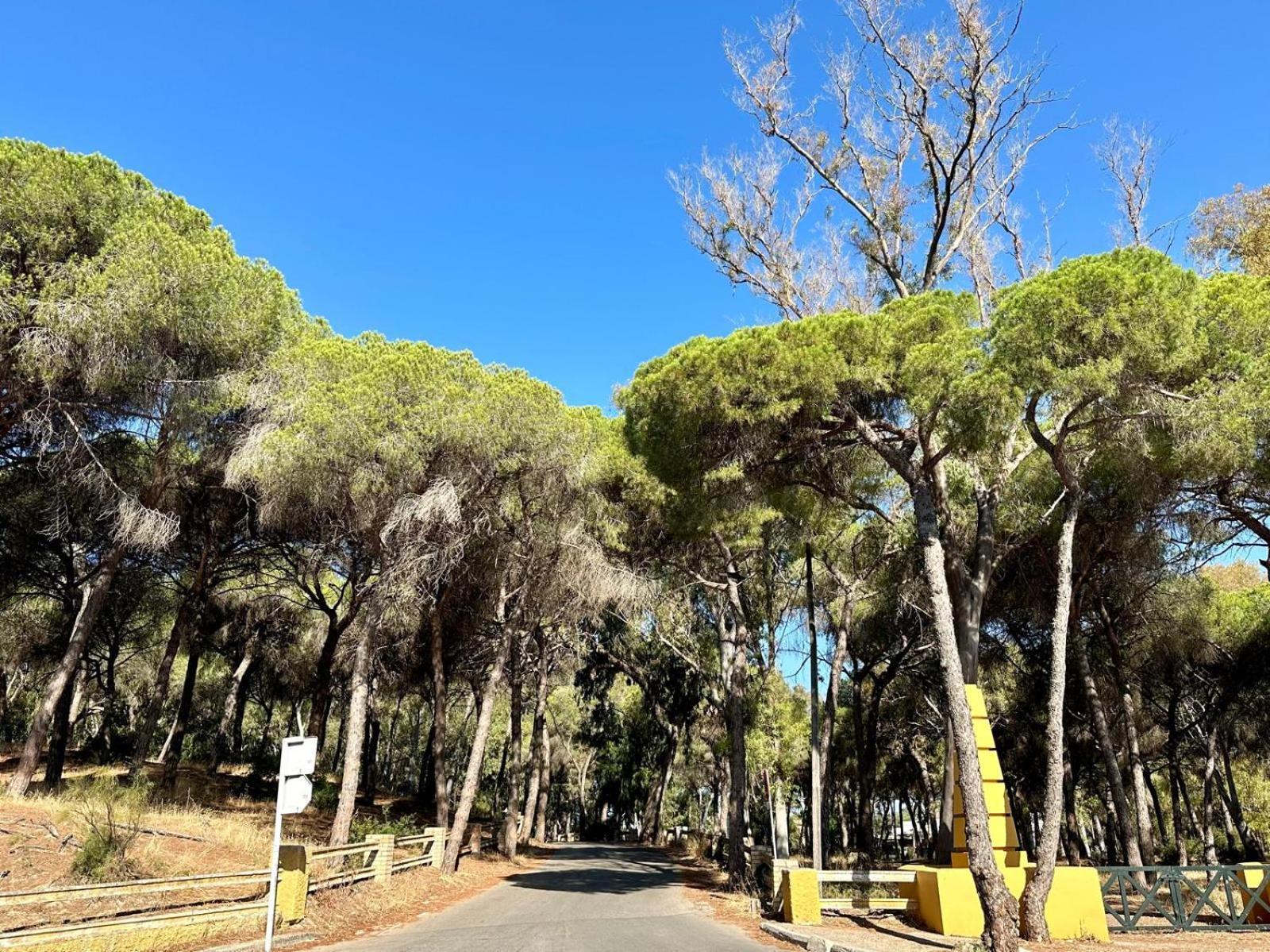 La Casita Del Mar Διαμέρισμα El Puerto de Santa María Εξωτερικό φωτογραφία